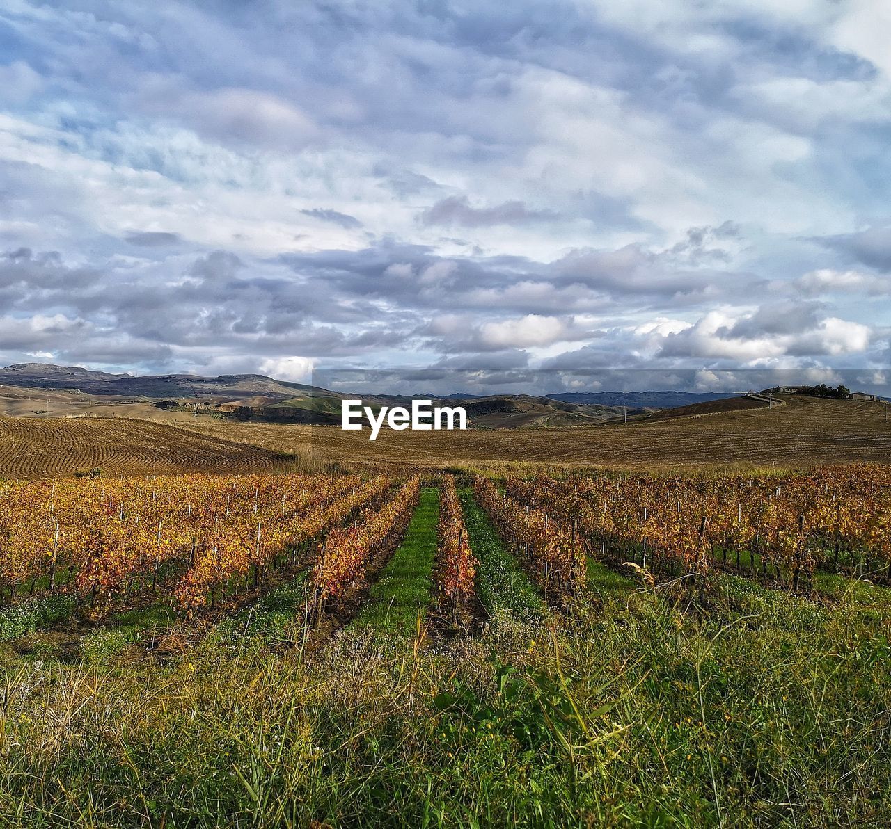 SCENIC VIEW OF FARM AGAINST SKY