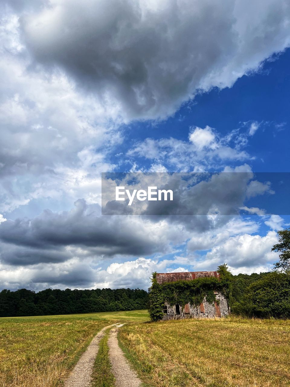 cloud, sky, landscape, environment, field, horizon, nature, plant, rural area, rural scene, grass, land, meadow, hill, agriculture, prairie, grassland, plain, scenics - nature, beauty in nature, tree, no people, architecture, farm, cloudscape, road, outdoors, travel, building, blue, transportation, crop, day, travel destinations, sunlight, food, dramatic sky, food and drink, built structure, house