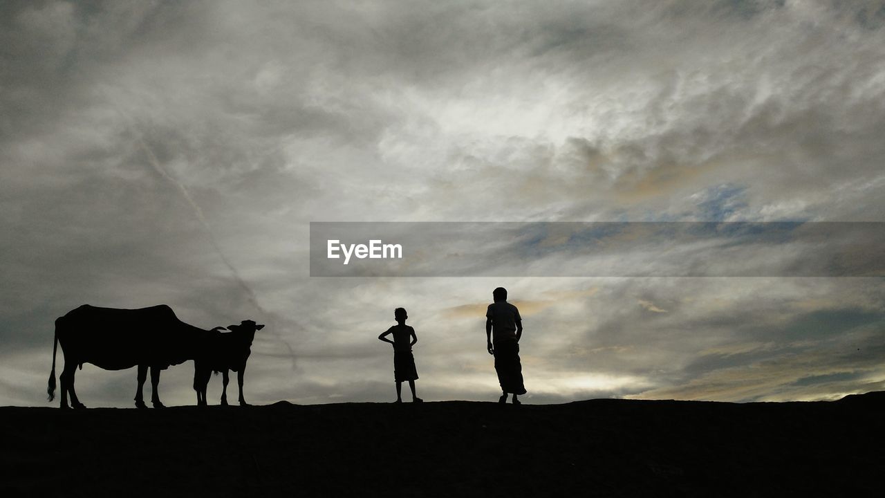 Silhouette father and son standing by cows on field against cloudy sky