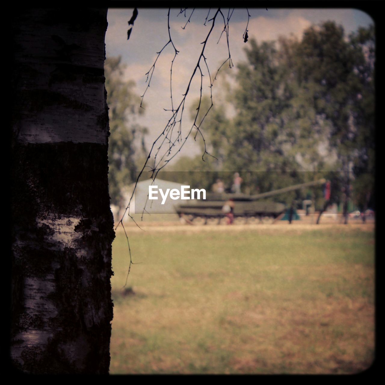 Cropped image of tree against tank on field