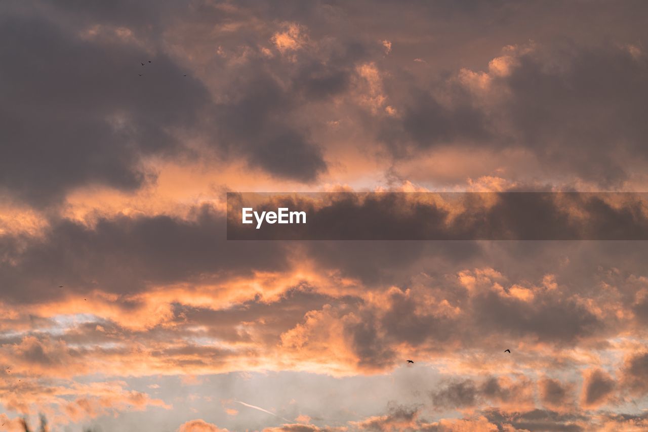 Low angle view of dramatic sky during sunset