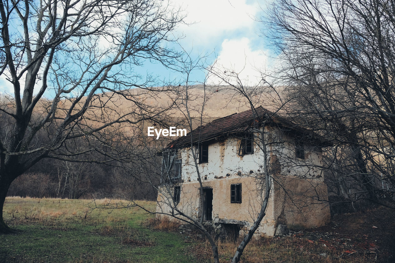 BARE TREES ON FIELD BY OLD BUILDING