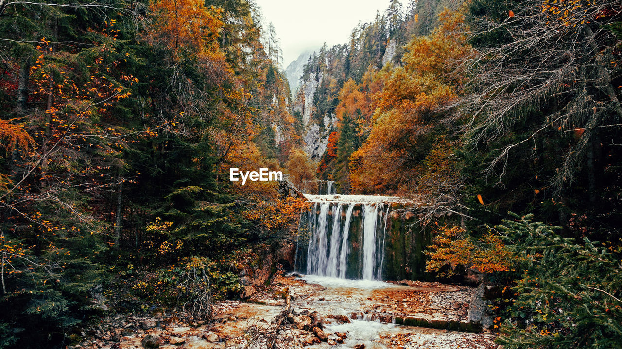 Waterfall surrounded by autumn colored trees.