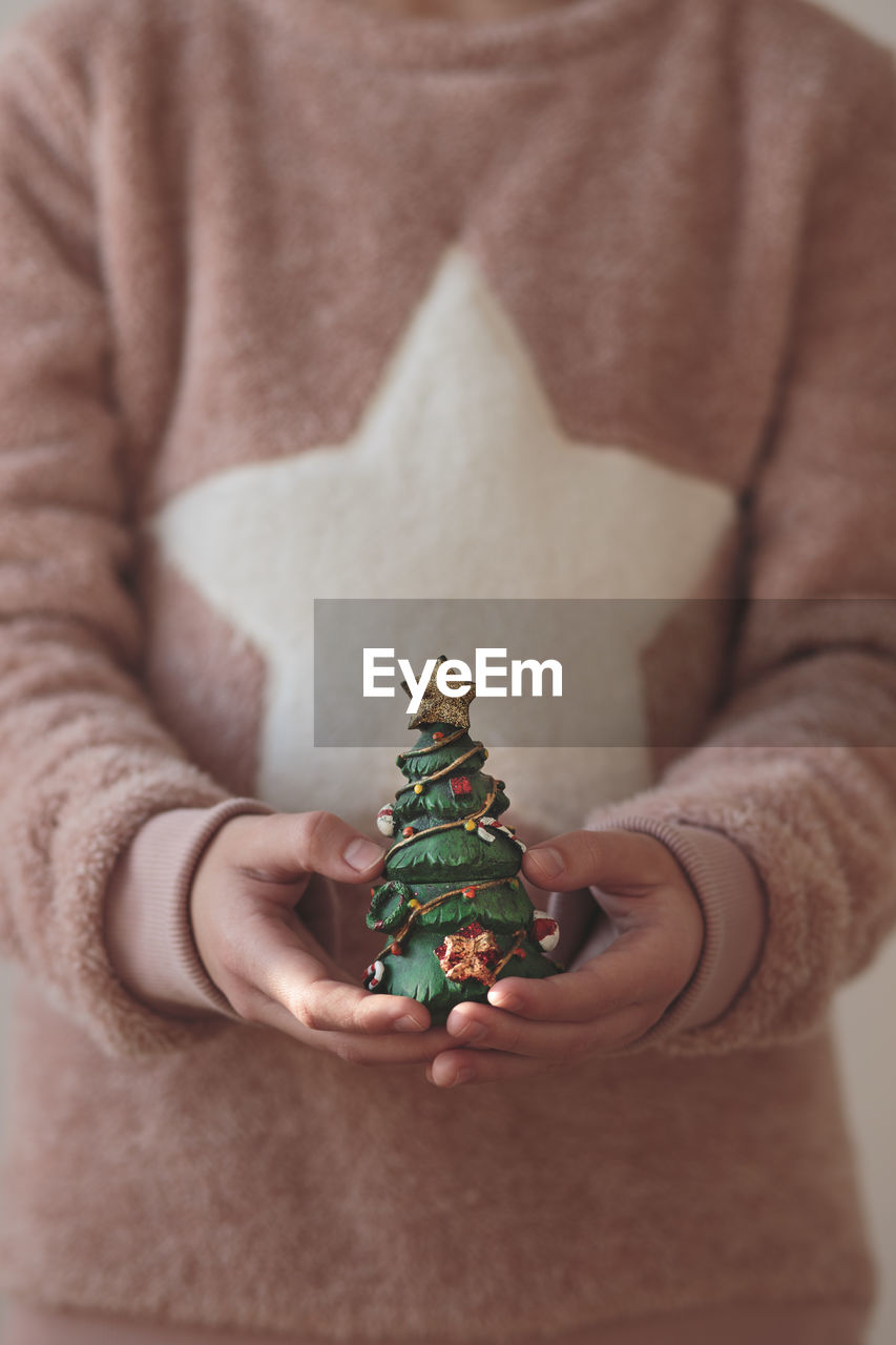 Midsection of person holding christmas tree