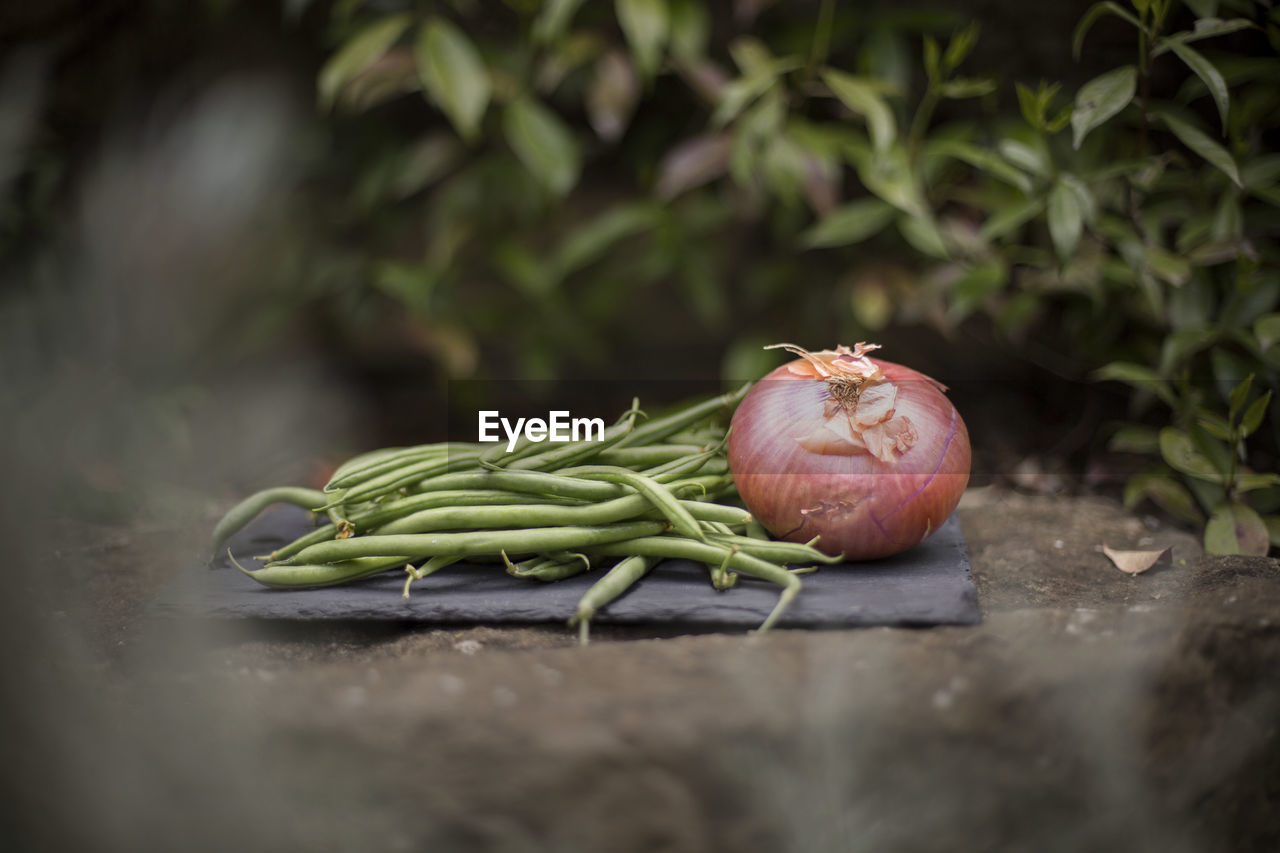 Close-up of vegetables on table