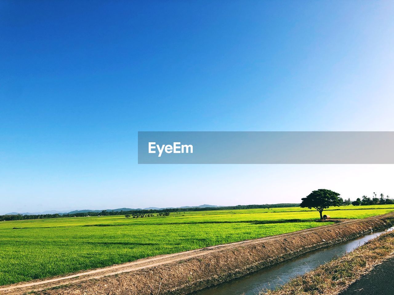 Scenic view of agricultural field against clear blue sky