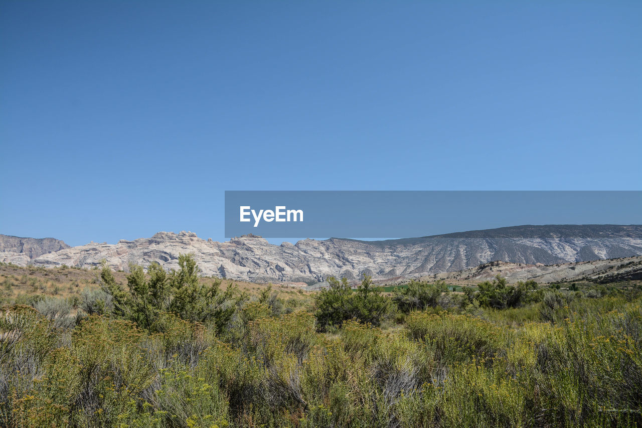 Scenic view of landscape against clear blue sky