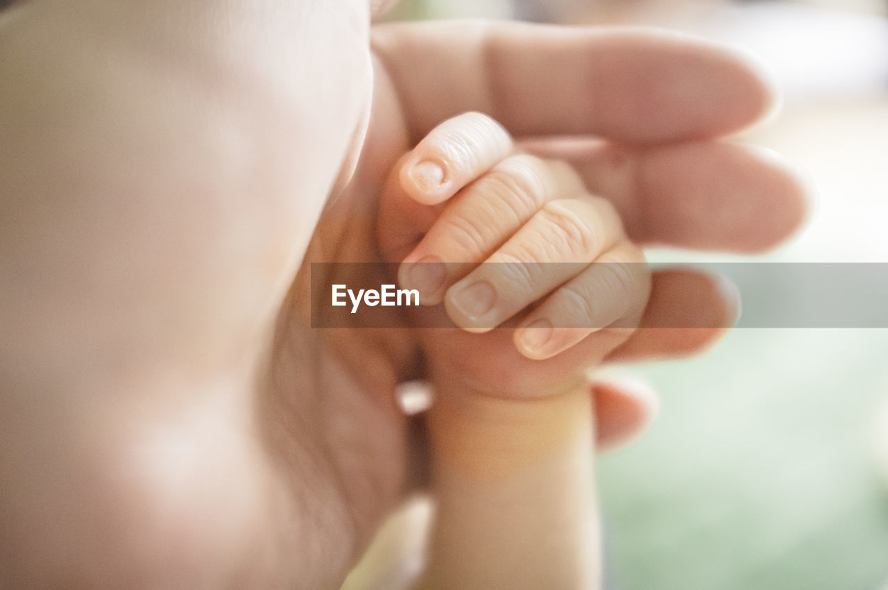 Close-up of parent holding baby boy hand