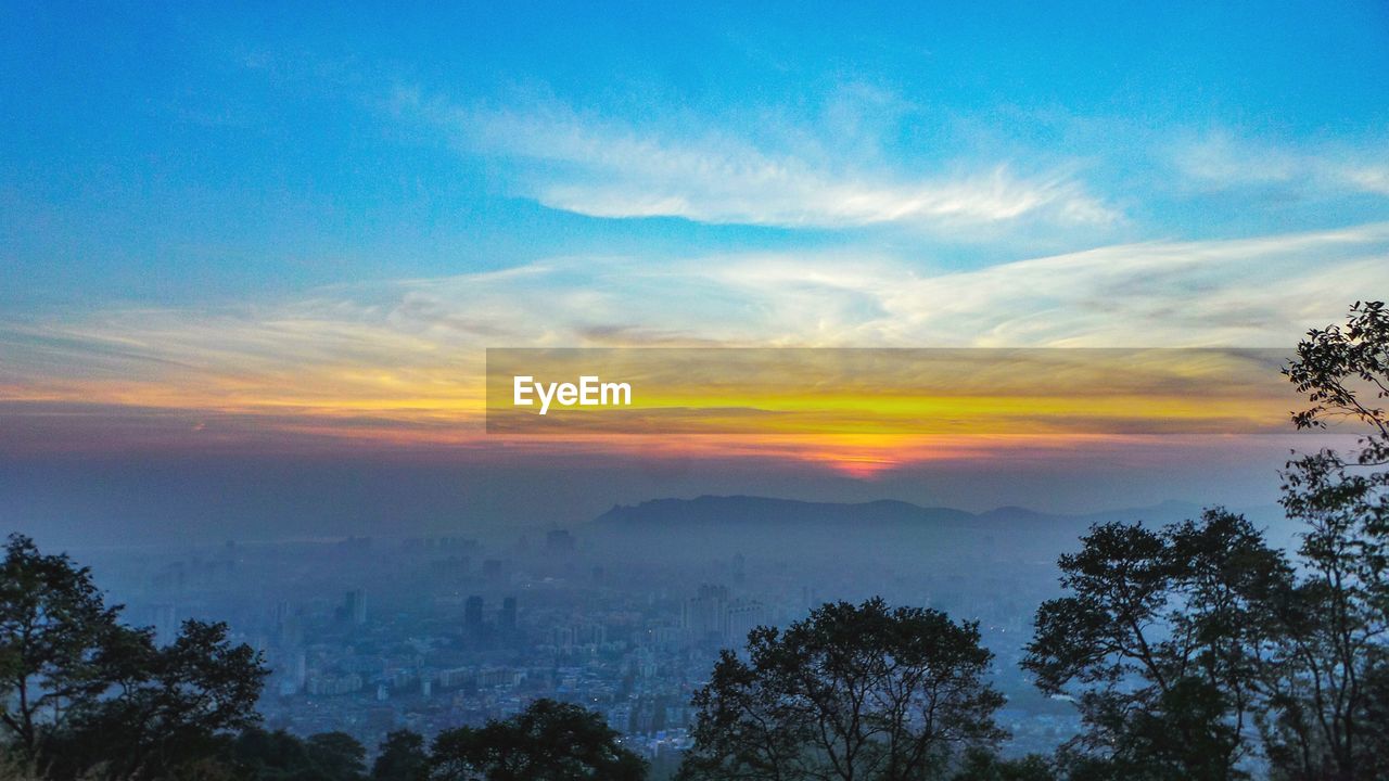 SCENIC VIEW OF TREES AGAINST SKY