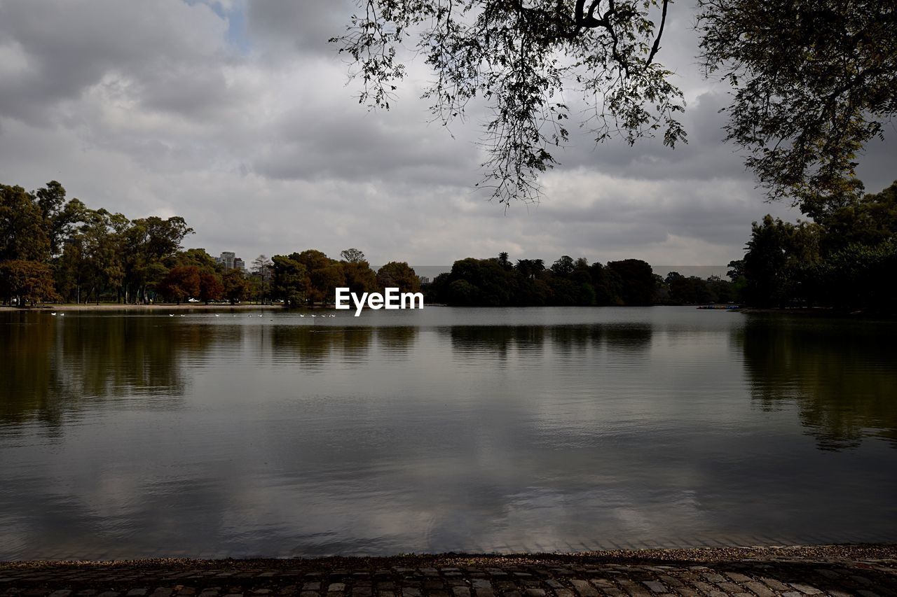 Scenic view of river and tree against sky