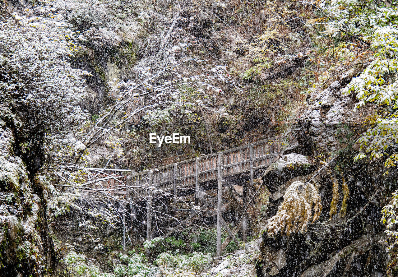 High angle view of rock formations in forest and a wooden bridgen