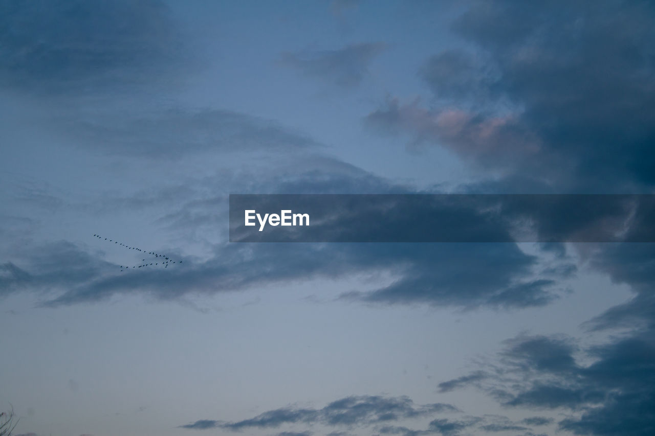 LOW ANGLE VIEW OF AIRPLANE AGAINST SKY