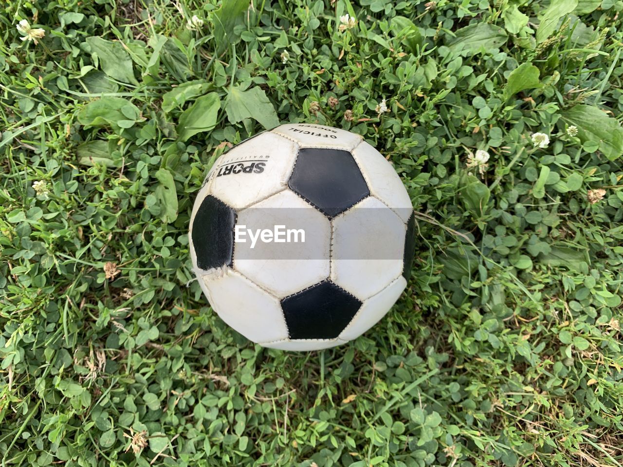 CLOSE-UP OF BALL ON FIELD