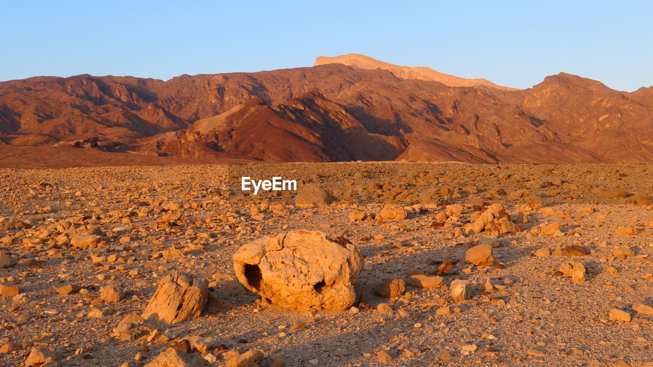 Scenic view of desert at sunrise against clear sky