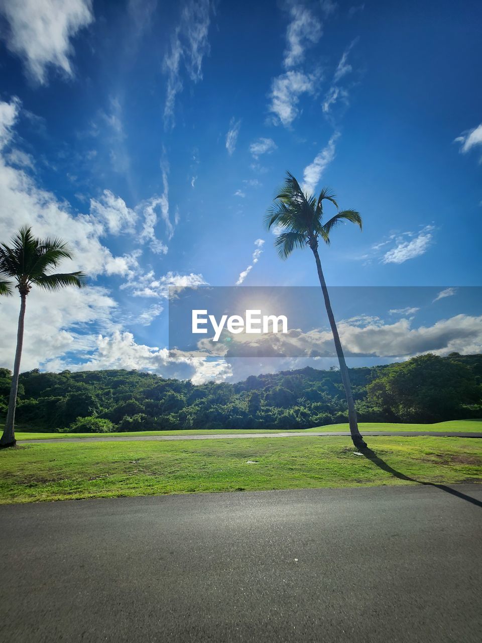 sky, nature, cloud, sunlight, tree, blue, plant, reflection, low angle view, day, flower, outdoors, no people, transportation, beauty in nature, water, tropical climate, screenshot, air vehicle, flying