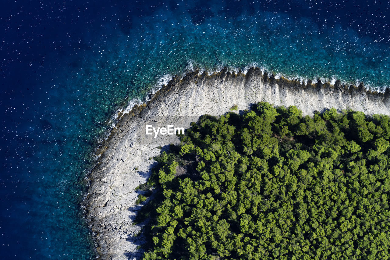 Aerial view of coastline with pine forest, hvar island, croatia