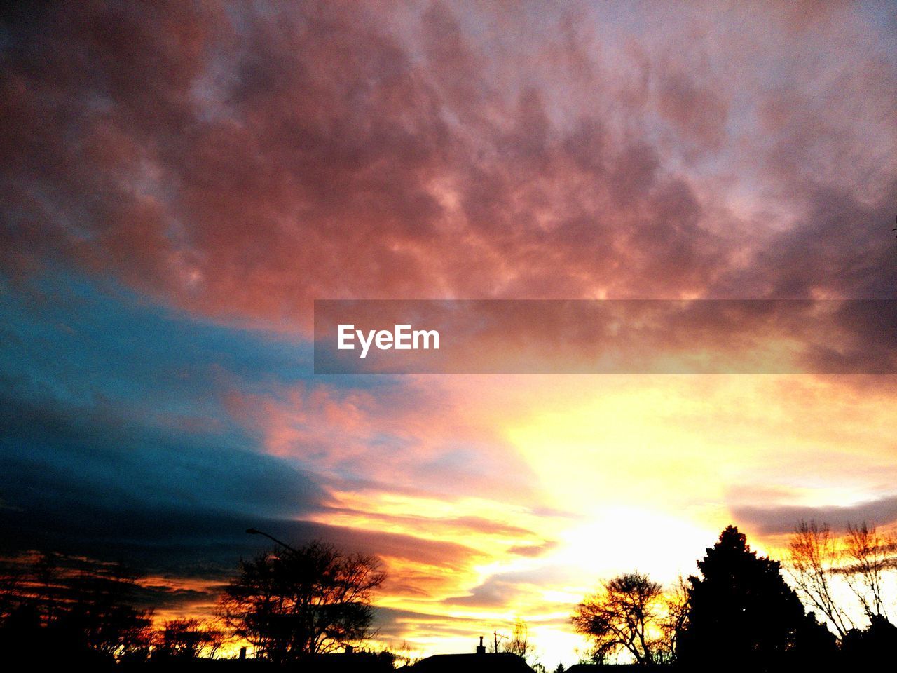 LOW ANGLE VIEW OF SILHOUETTE TREES AGAINST SKY DURING SUNSET