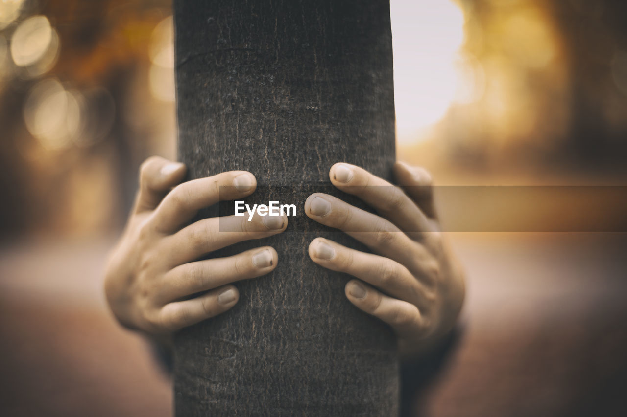 Close-up of man holding on tree trunk