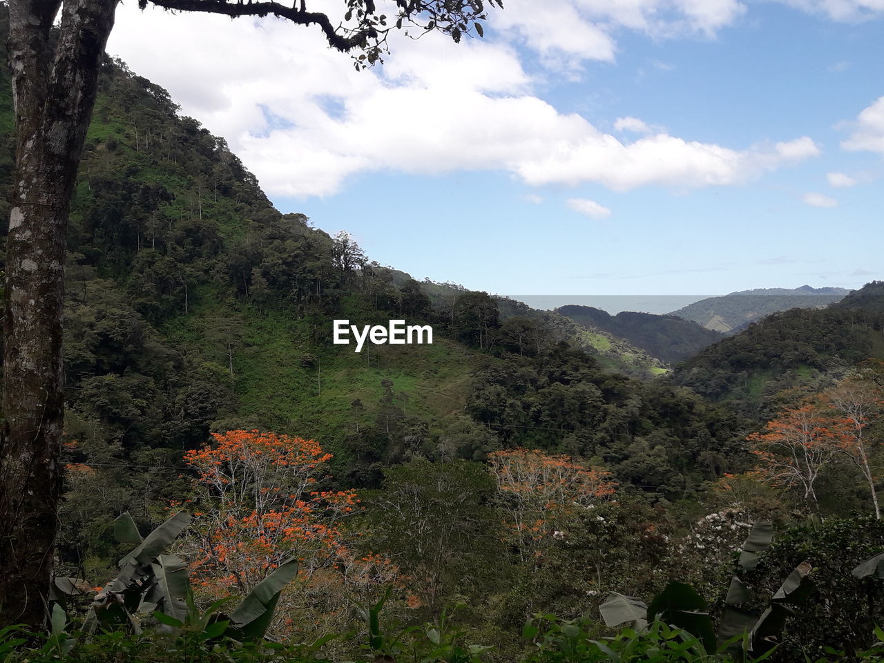 SCENIC VIEW OF MOUNTAIN AGAINST SKY