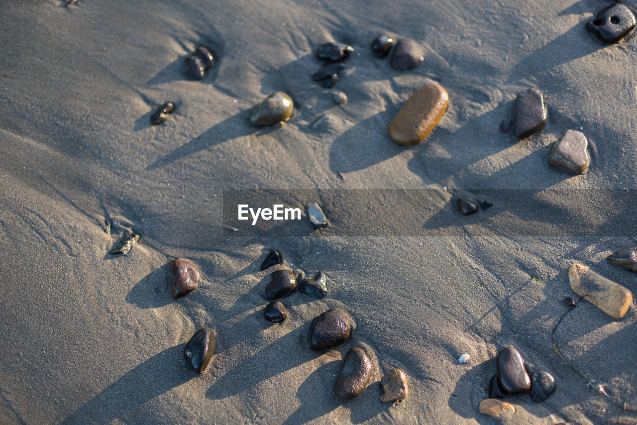 HIGH ANGLE VIEW OF FOOTPRINT ON BEACH