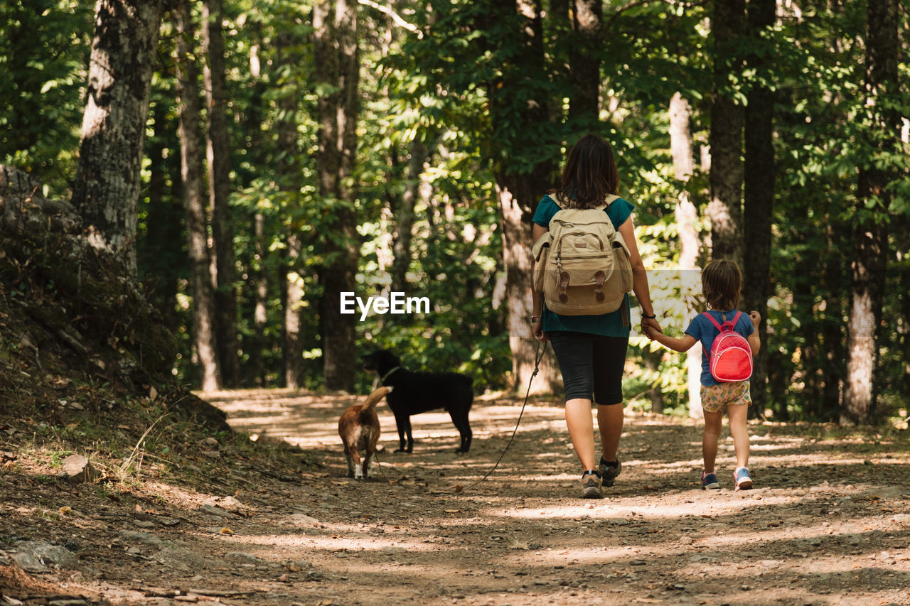 Mother and daughter with dogs hiking in forest