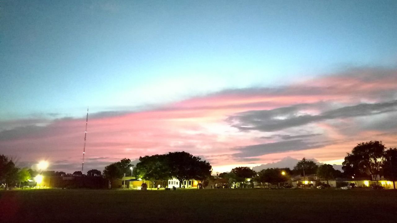 SILHOUETTE OF TREES ON FIELD AT SUNSET