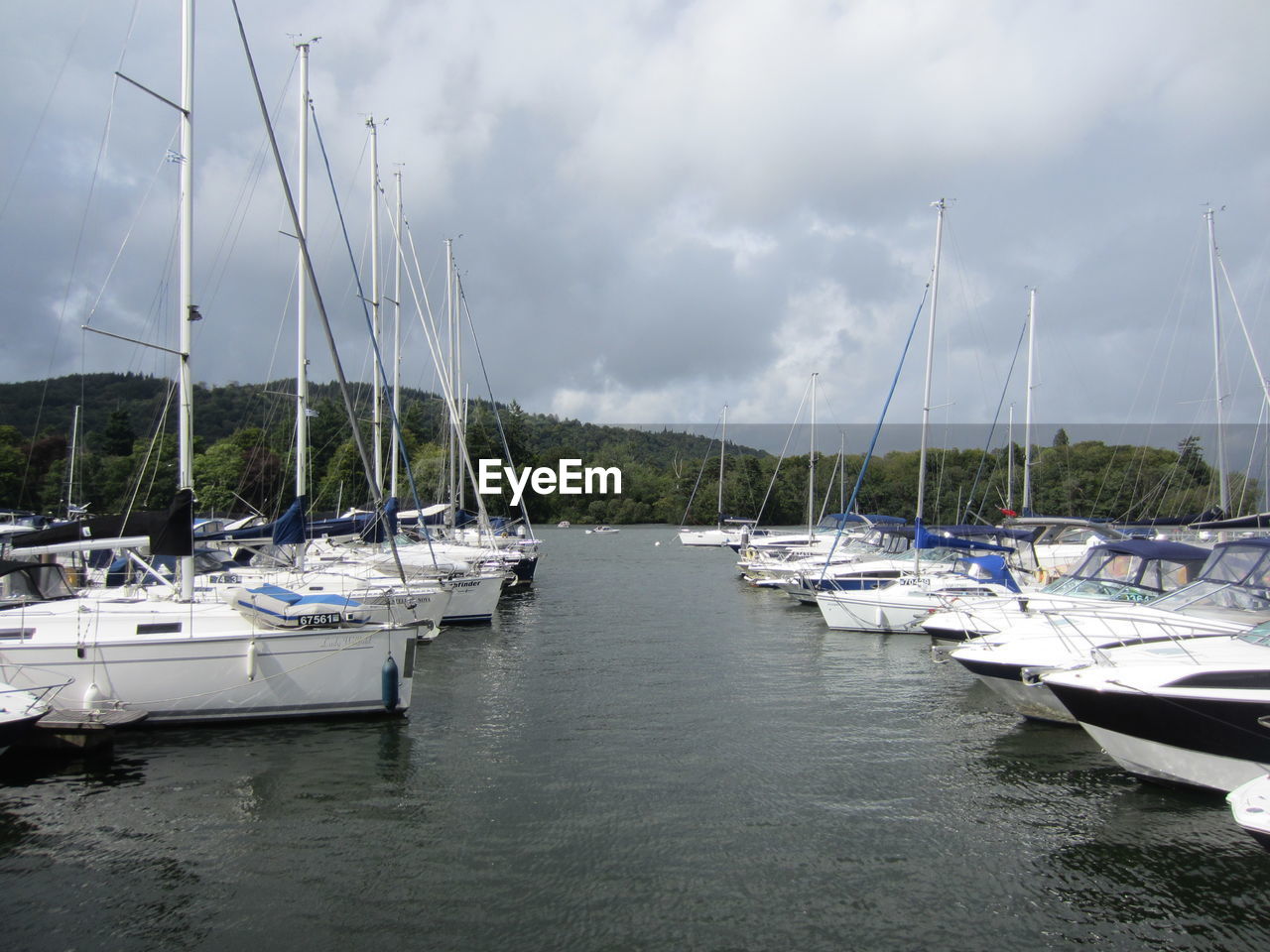 SAILBOATS MOORED IN MARINA