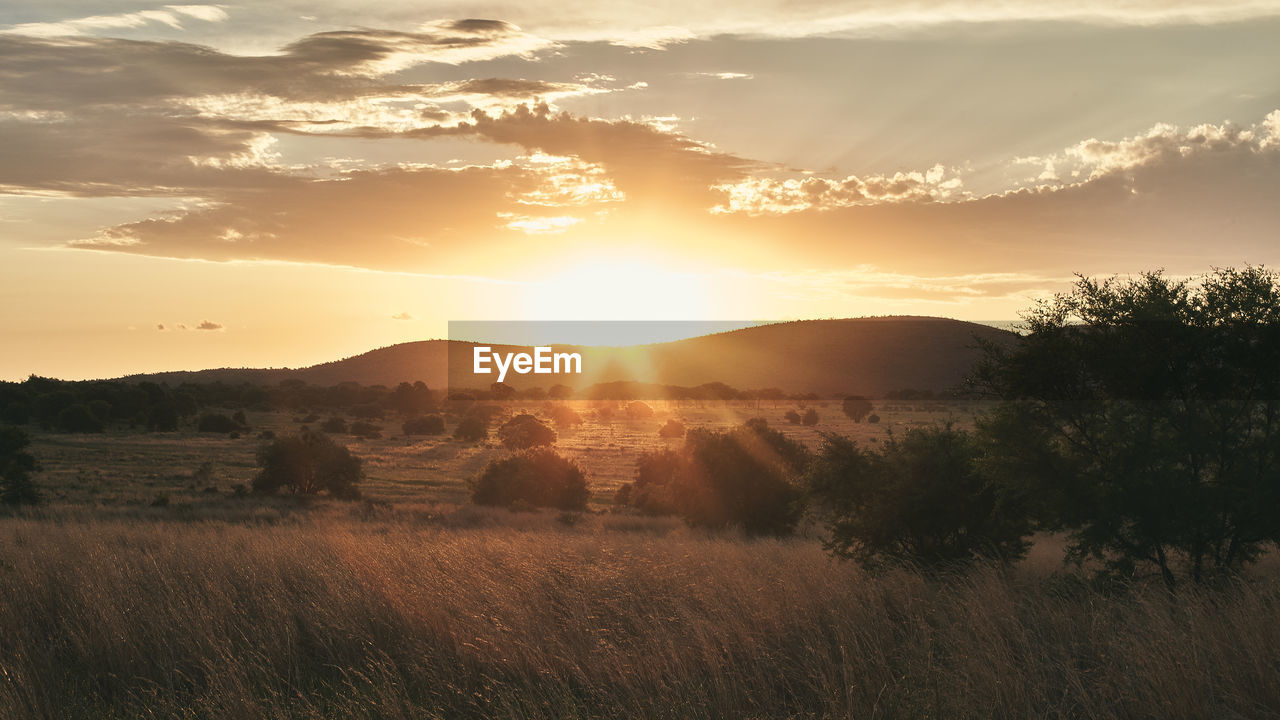 Scenic view of field against sky during sunset