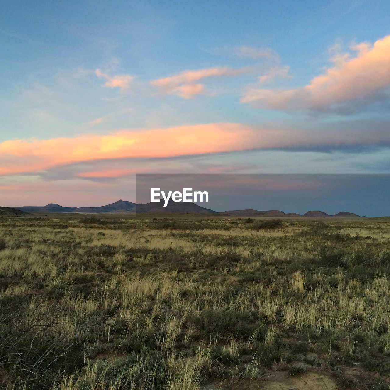 SCENIC VIEW OF GRASSY FIELD AGAINST SKY AT SUNSET