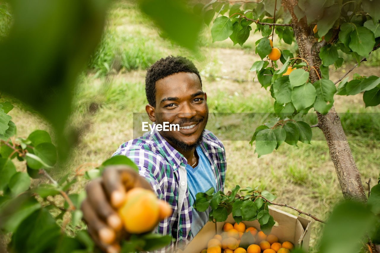 PORTRAIT OF A SMILING YOUNG MAN WITH FRUITS IN FARM