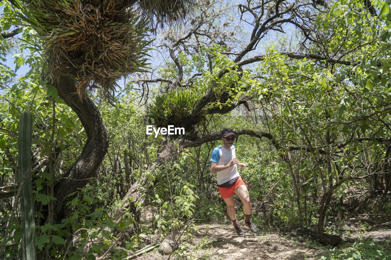 One man running on a trail under a tree with orchids at san sebastian