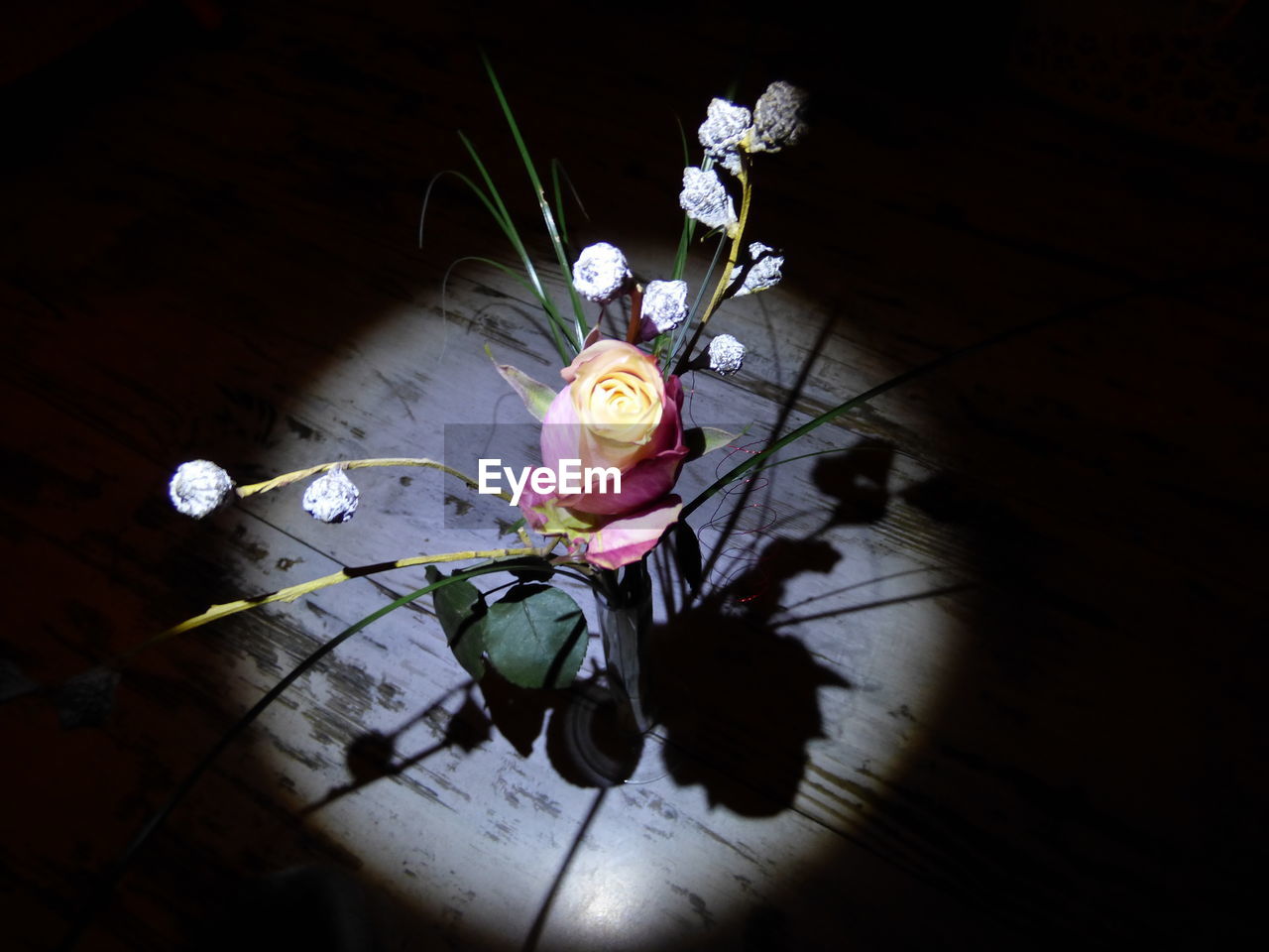 Close-up of flowers in vase