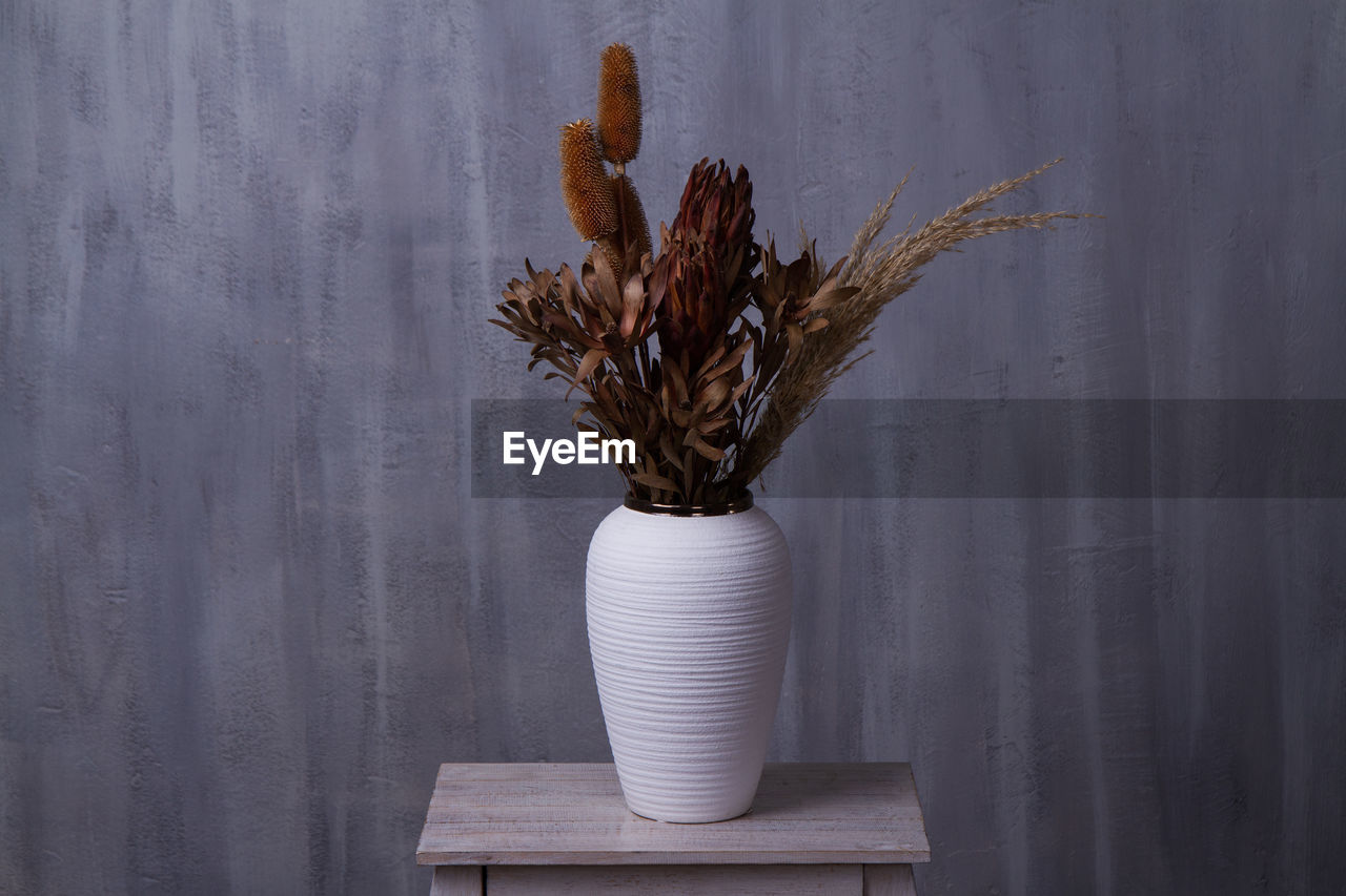 Dying plant in white vase. studio shoot