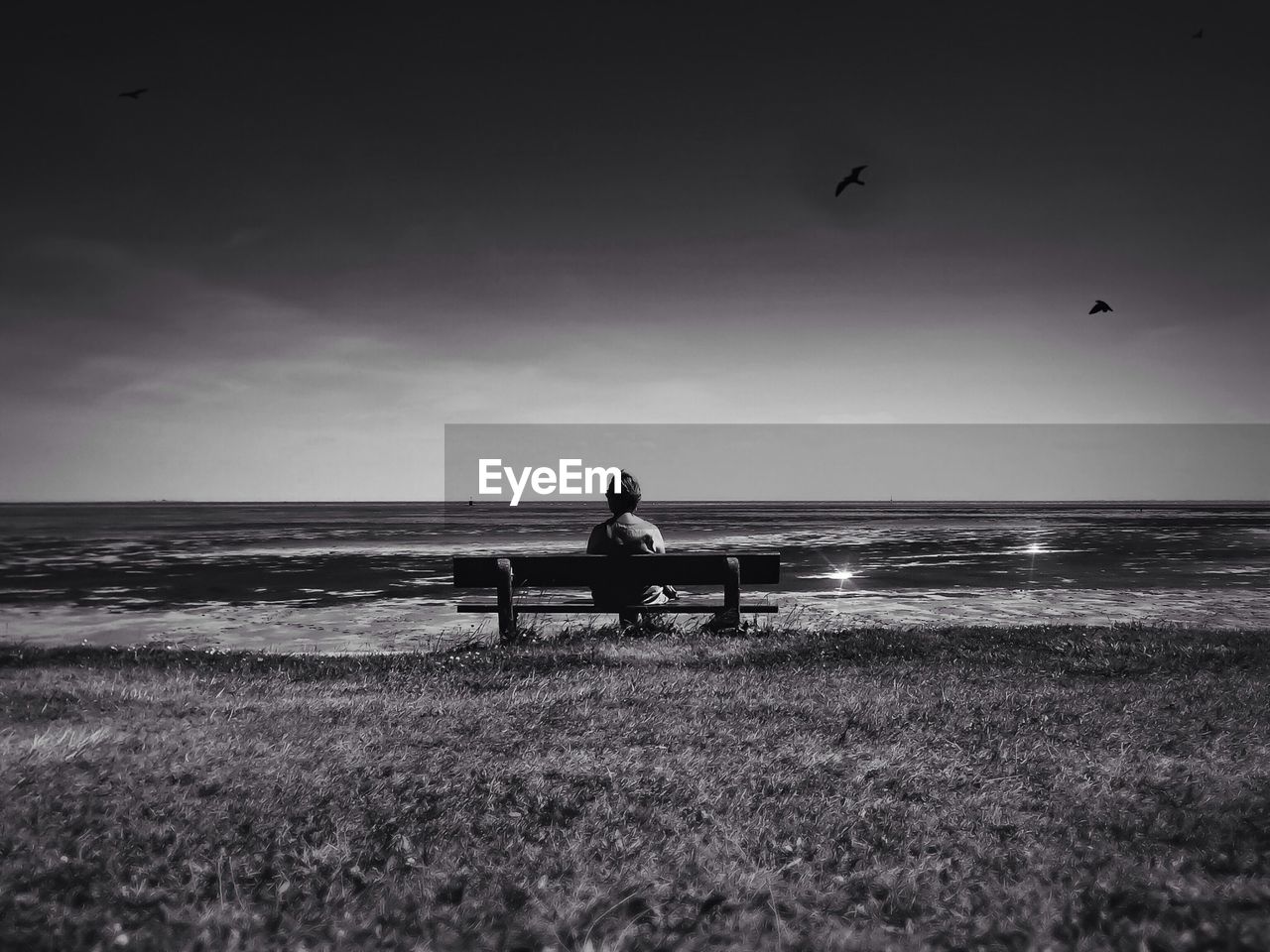 Rear view of a woman overlooking calm sea