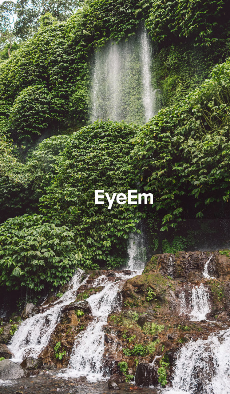 Scenic view of waterfall in forest