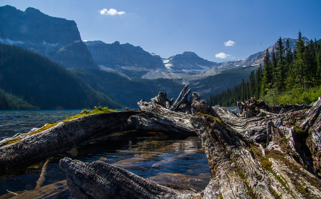 Close-up of driftwood by river against mountains on sunny day