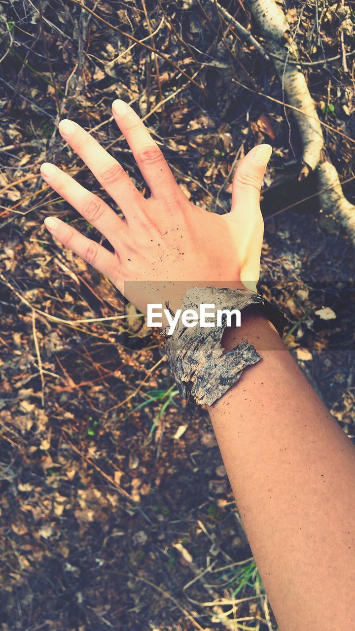 Cropped image of person with bark on hand in forest