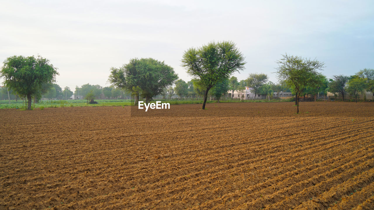 SCENIC VIEW OF FARM AGAINST SKY