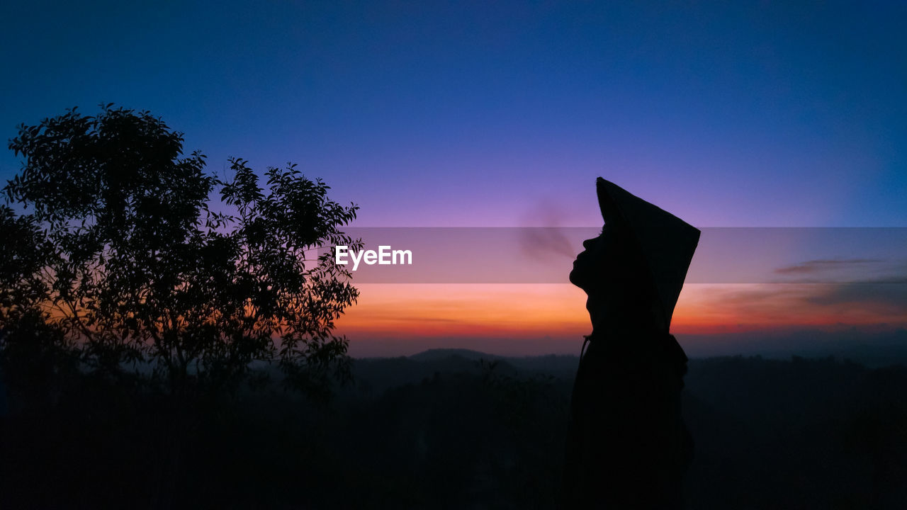 Silhouette trees against sky during sunset