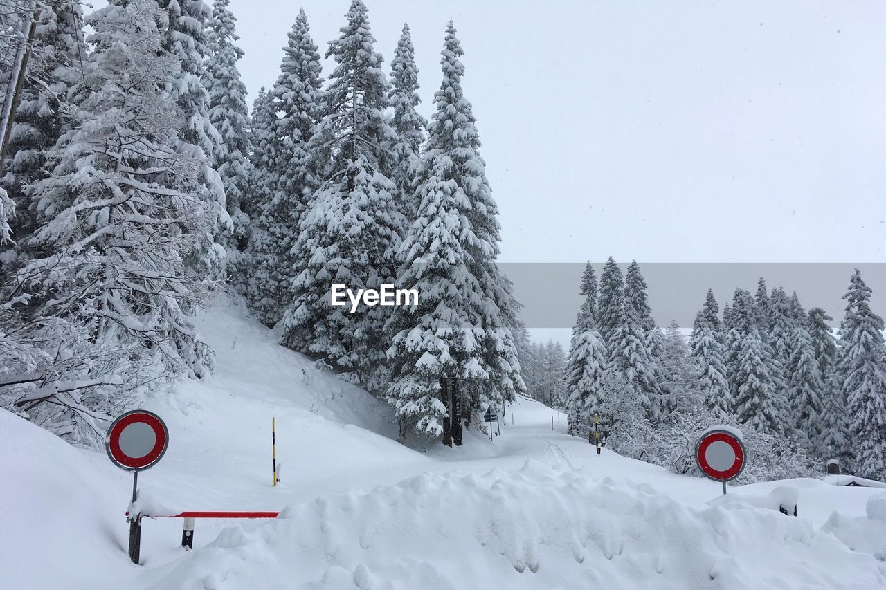 Snow covered trees against sky