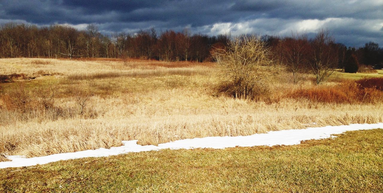 Field and small amount of snow