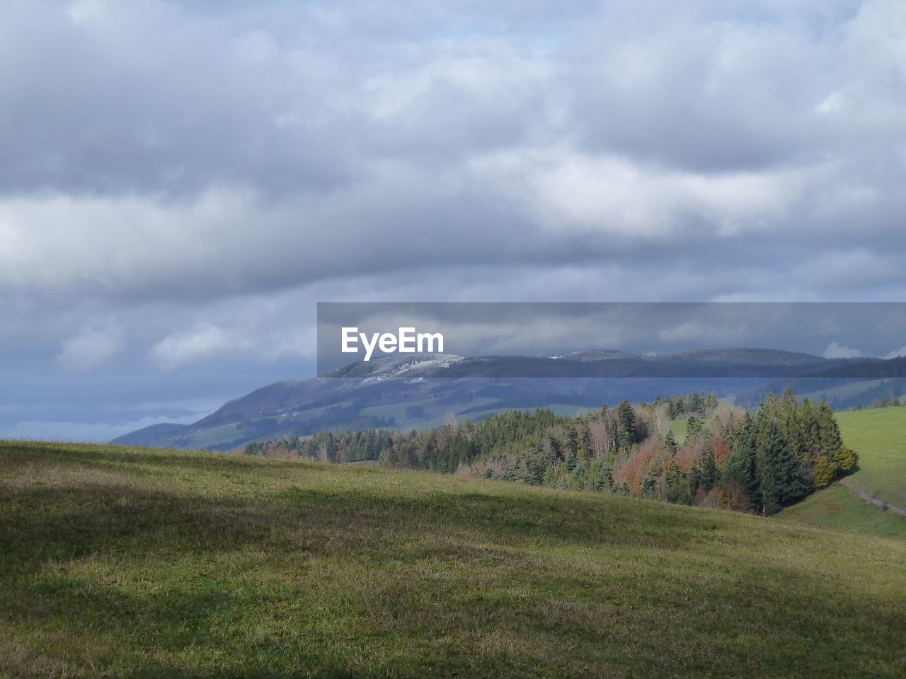 SCENIC VIEW OF GRASSY FIELD AGAINST SKY