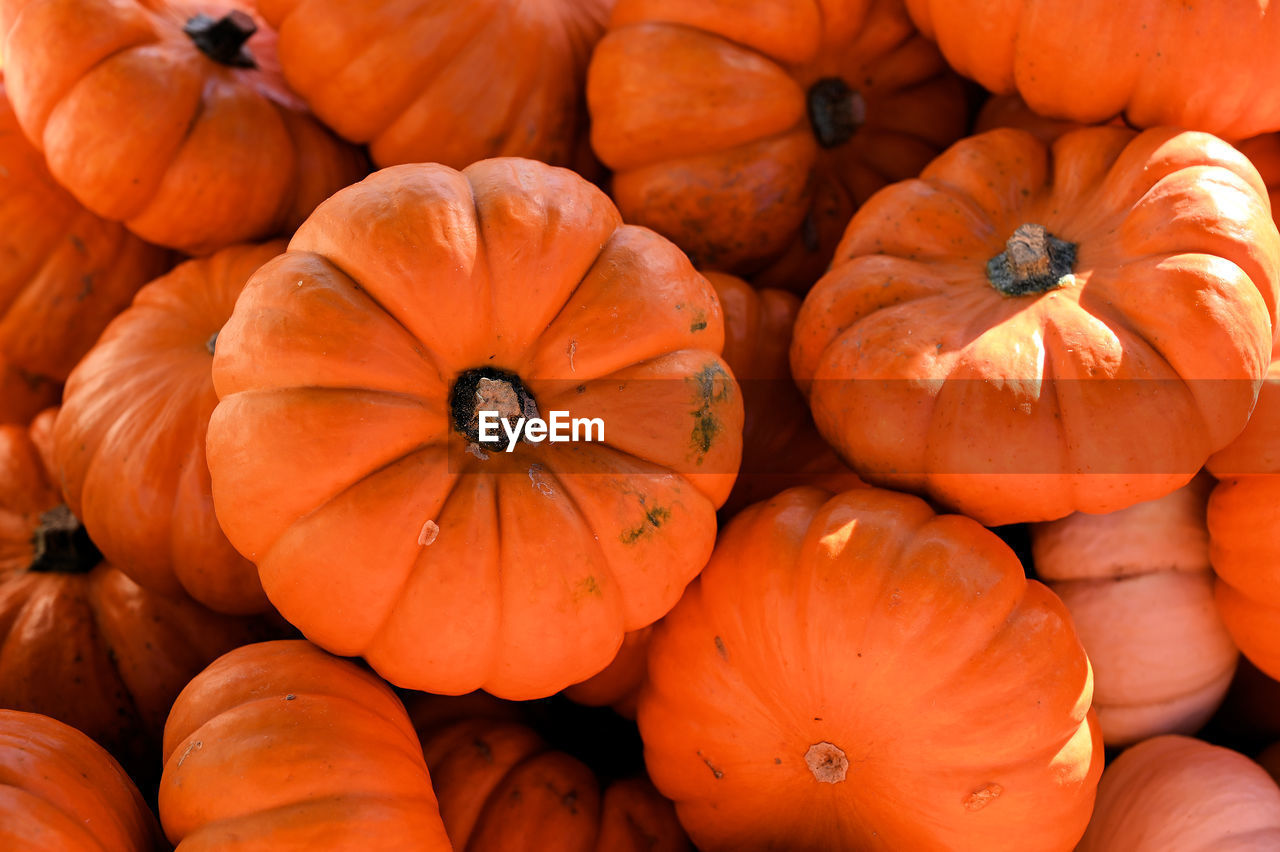 Full frame shot of pumpkins at market