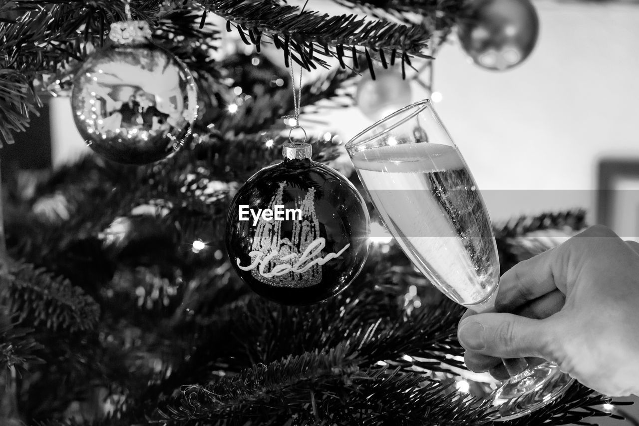 CLOSE-UP OF PERSON HAND HOLDING CHRISTMAS TREE