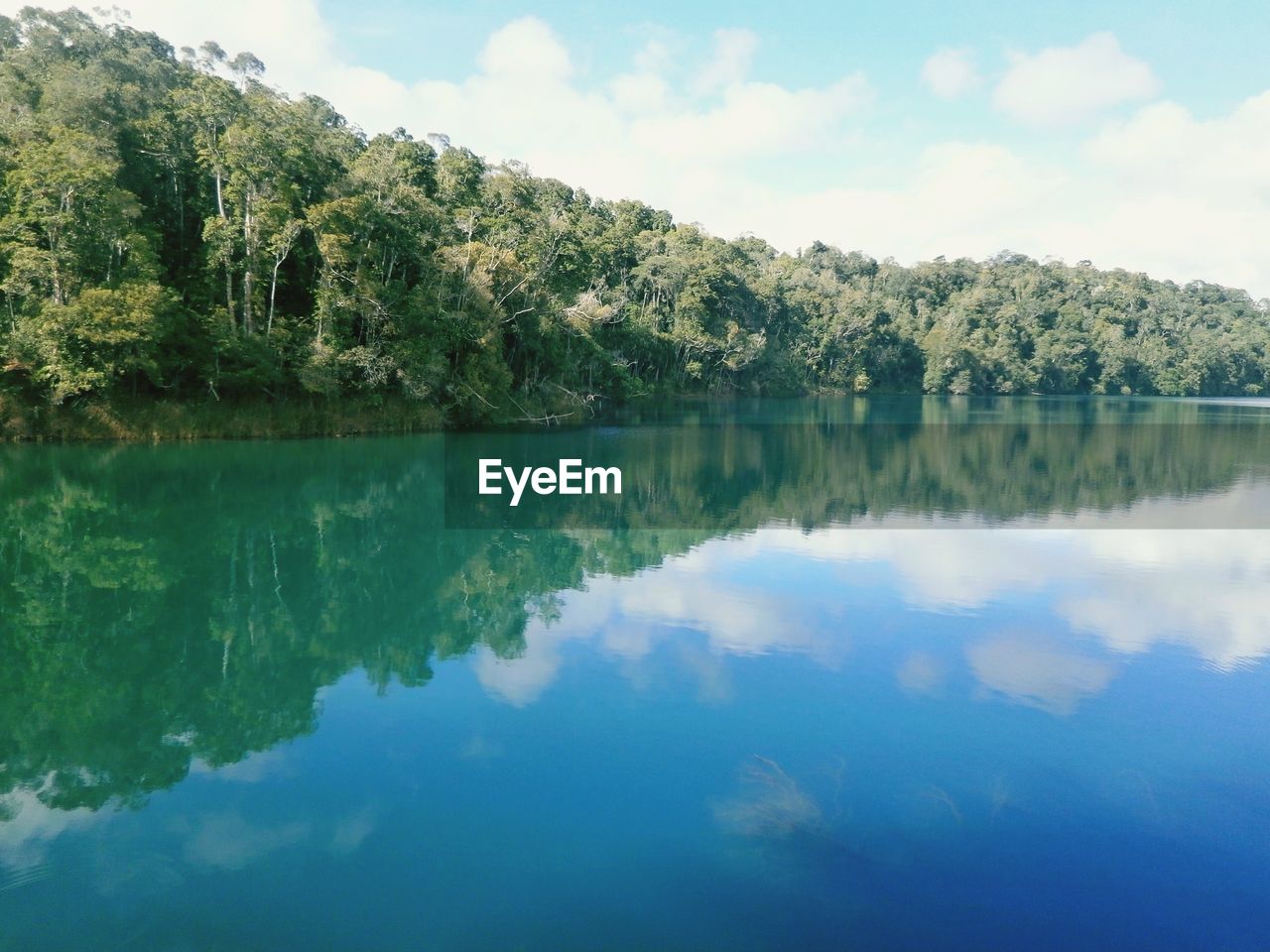 SCENIC VIEW OF LAKE AND TREES AGAINST SKY