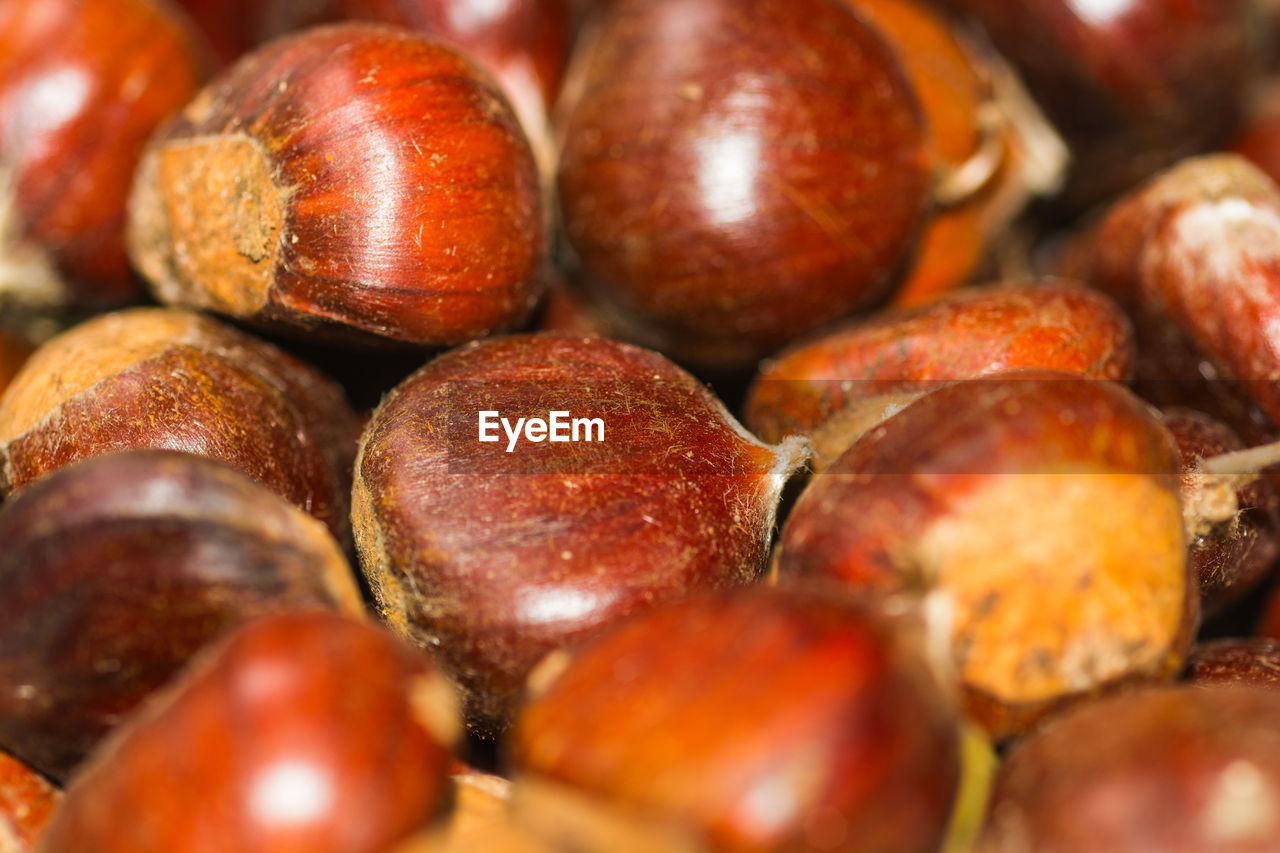 FULL FRAME SHOT OF POMEGRANATE