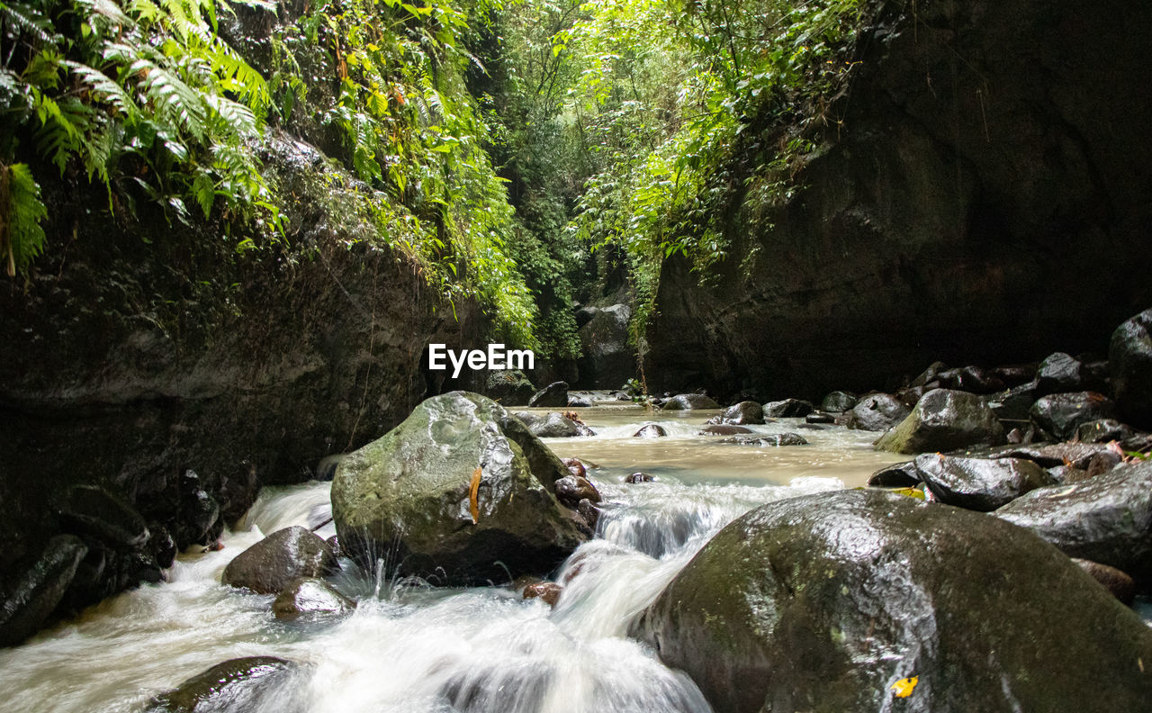 Stream flowing through rocks in forest