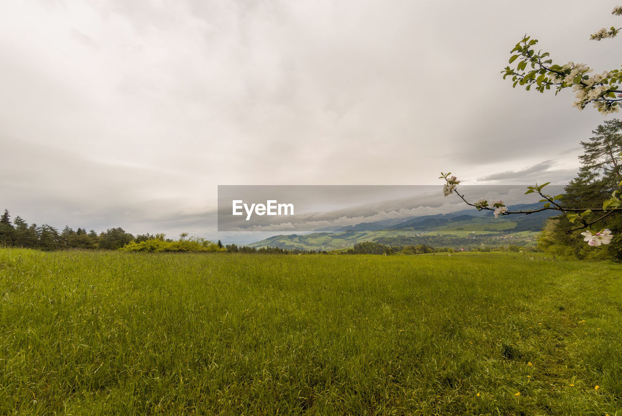 SCENIC VIEW OF FARM AGAINST SKY