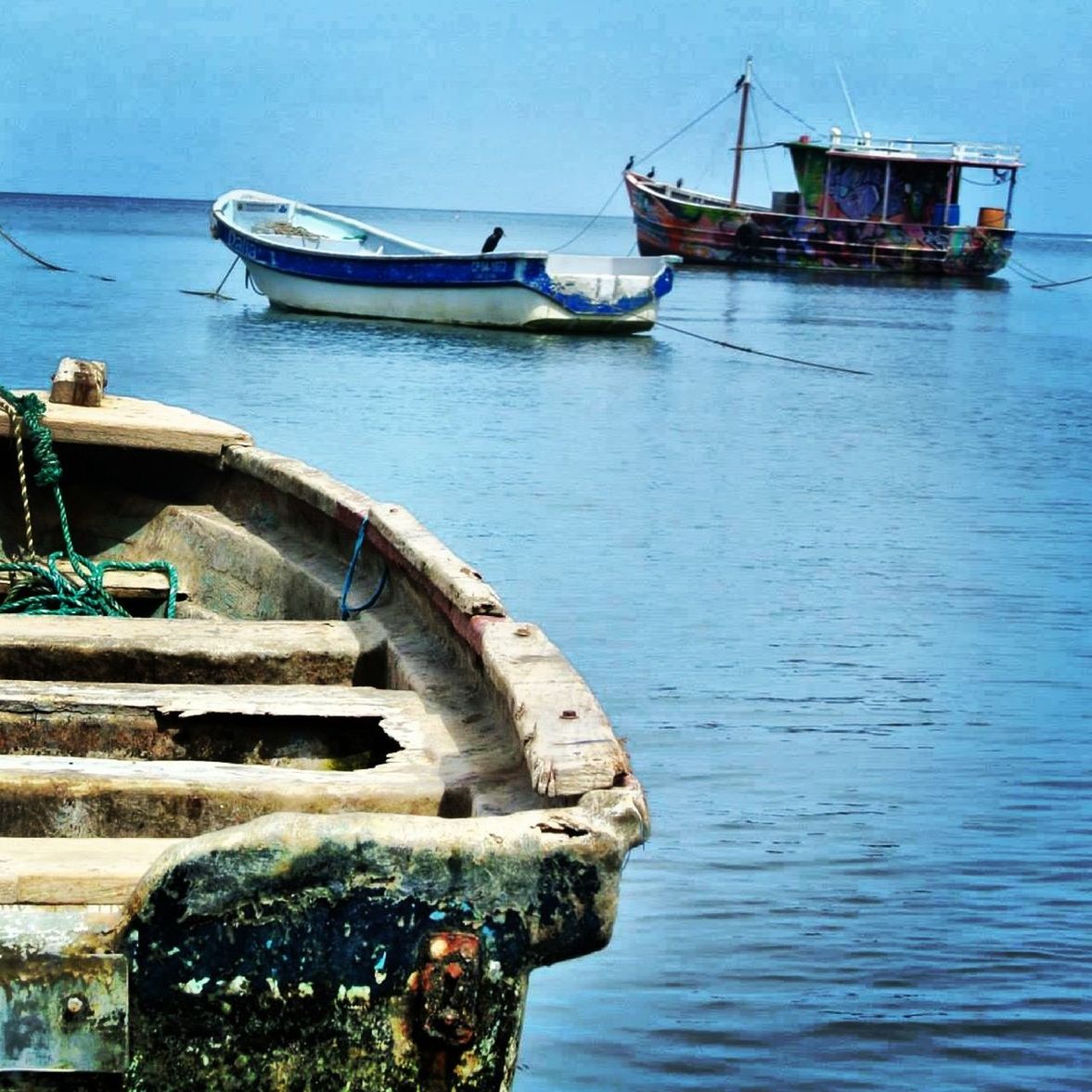 Abandoned boat in water with graffiti on sailboat