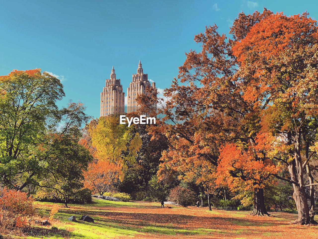 Trees and buildings against sky during autumn at central park new york city